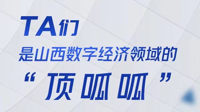 ta们,是山西数字经济领域的“顶呱呱”