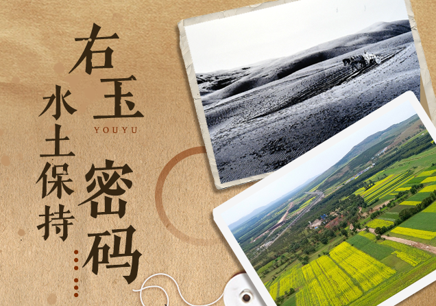 这些数字里藏着右玉水土保持“密码”